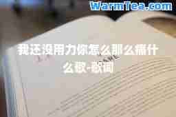 我还没用力你怎么那么痛什么歌-歌词