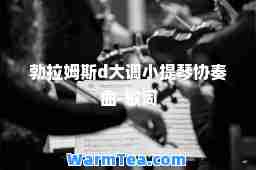 勃拉姆斯d大调小提琴协奏曲-歌词