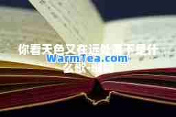你看天色又在远处落下是什么歌-歌词