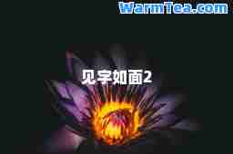 见字如面2