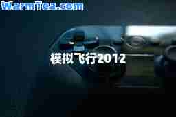 模拟飞行2012