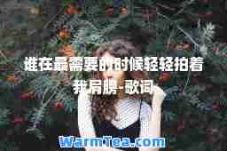 谁在最需要的时候轻轻拍着我肩膀-歌词