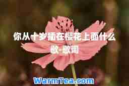 你从十岁插在樱花上面什么歌-歌词