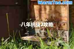 八年抗战2攻略