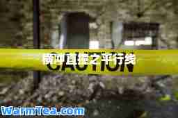 横冲直撞之平行线