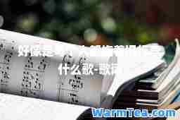 好像是每个人都拖着旧行李什么歌-歌词