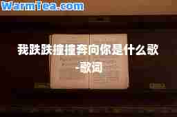 我跌跌撞撞奔向你是什么歌-歌词