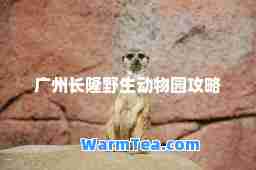 广州长隆野生动物园攻略