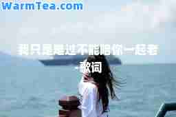 我只是难过不能陪你一起老-歌词