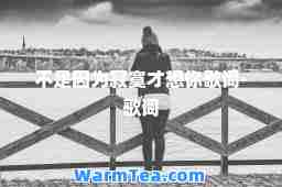 不是因为寂寞才想你歌词-歌词