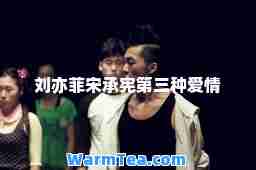 刘亦菲宋承宪第三种爱情
