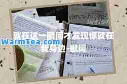就在这一瞬间才发现你就在我身边-歌词