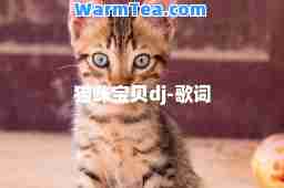猫咪宝贝dj-歌词
