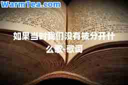 如果当时我们没有被分开什么歌-歌词