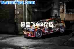 飞车8存档