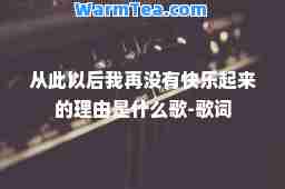 从此以后我再没有快乐起来的理由是什么歌-歌词