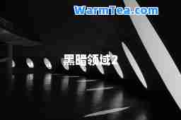 黑暗领域2