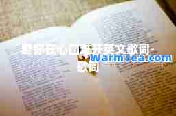 爱你在心口难开英文歌词-歌词