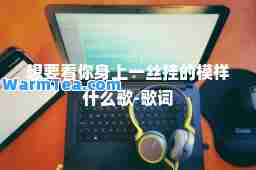 想要看你身上一丝挂的模样什么歌-歌词