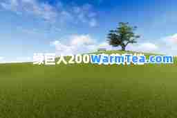 绿巨人2008存档