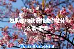 如果在18我没能送你花什么歌-歌词