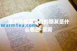 感谢所有深爱我的朋友是什么歌曲-歌词