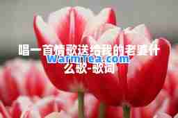 唱一首情歌送给我的老婆什么歌-歌词