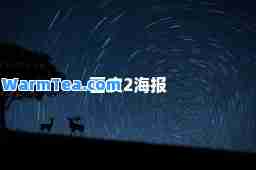 画皮2海报