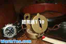 暗黑通1 10