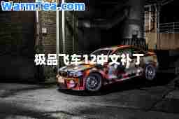 飞车12中文补丁