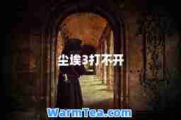 尘埃3打不开