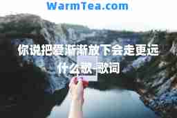 你说把爱渐渐放下会走更远什么歌-歌词
