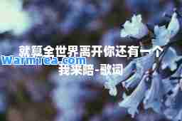 就算全世界离开你还有一个我来陪-歌词
