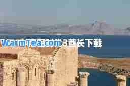 帝国时代3酋长下载