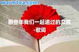 那些年我们一起追过的女孩-歌词