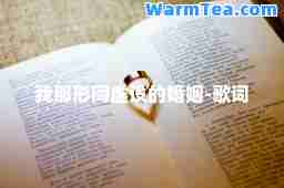 我那形同虚设的婚姻-歌词