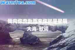 我向你奔赴而来你就是星辰大海-歌词