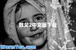 教父2中文版下载