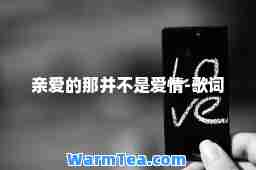 亲爱的那并不是爱情-歌词