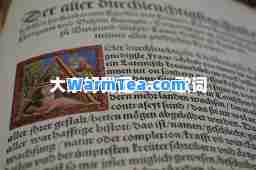 大家好我是vae-歌词