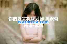 你的爱会将我灌醉 我没有所谓-歌词