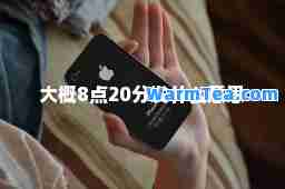 大概8点20分发什么意思