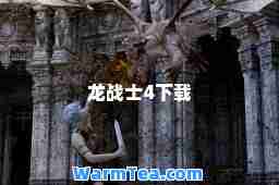 龙战士4下载
