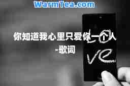 你知道我心里只爱你一个人-歌词