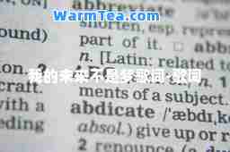 我的未来不是梦歌词-歌词