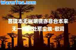 菩提本无树明镜亦非台本来无一物何处惹尘埃-歌词