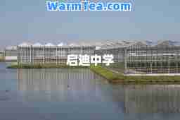 启迪中学