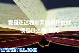 爱是迷迷糊糊天地初开的时候是什么歌-歌词
