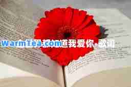 全世界都知道我爱你-歌词