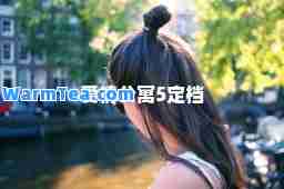 爱情公寓5定档